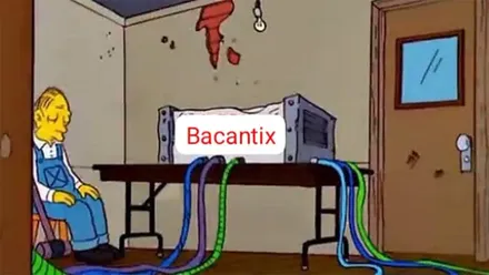 Los mejores memes del caos en la venta online del COAC de Cádiz: Bacantix tendencia nacional en X