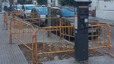 El Ayuntamiento de Cádiz responde a las denuncias de Agaden por la retirada de árboles