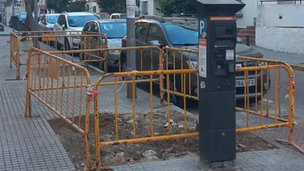 El Ayuntamiento de Cádiz responde a las denuncias de Agaden por la retirada de árboles