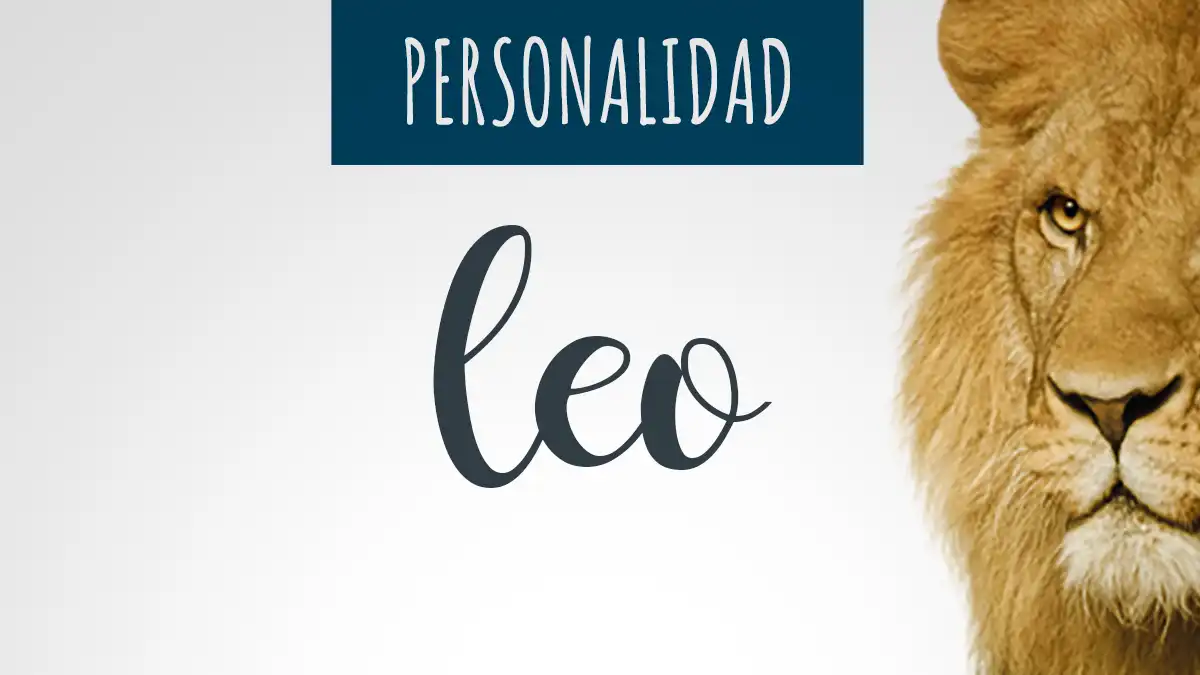 Características y Personalidad