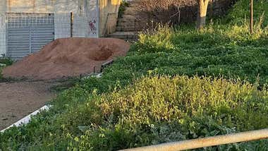 Una acera con boquetes y con hierbas