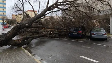Jana deja en la provincia de Cádiz rachas de más de 100 kilómetros por hora. Descubre donde ha soplado el viento más fuerte