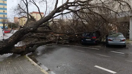 Jana deja en la provincia de Cádiz rachas de más de 100 kilómetros por hora. Descubre donde ha soplado el viento más fuerte