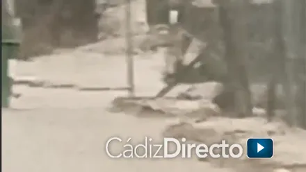 Activado el Plan Local de Emergencia en Jerez por las fuertes lluvias