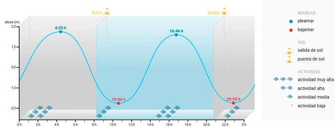 Así se verá el eclipse solar del 29 de marzo en Cádiz: horarios y consejos para disfrutarlo