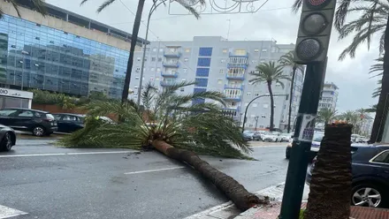 Efectos de la borrasca Konrad a su paso por Cádiz
