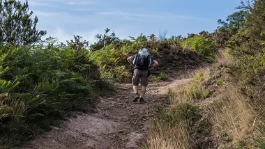 Conoce la agencia de referencia para hacer rutas naturales