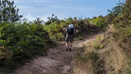 Conoce la agencia de referencia para hacer rutas naturales