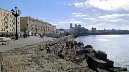 Cielo despejado en el Campo del Sur de Cádiz con la Catedral al fondo
