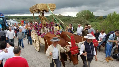 Carreta tirada por bueyes con la imagen de San Isidro, de Los Barrios, la rodea mucho fieles.