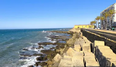 Olas y viento de Levante en el Campo del Sur de Cádiz