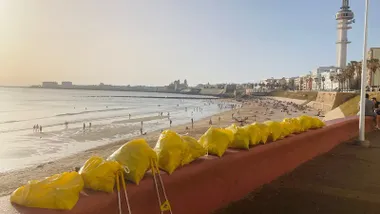 Basura recogida en esta actuación.