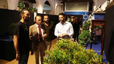 Arboles bonsai siendo observados por el alcalde de Chiclana. Destaca el color ver.