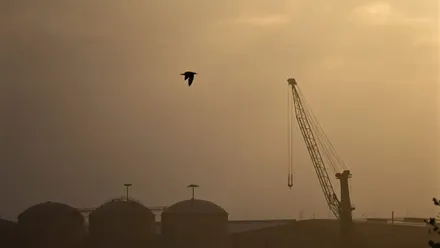 Depósitos y una grúa en Cádiz, con cielos brumosos en los que vuela un pájaro