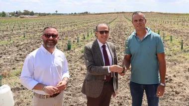 José María Román, junto a Fede Díaz y Francisco Javier Díaz en un campo de olivos.