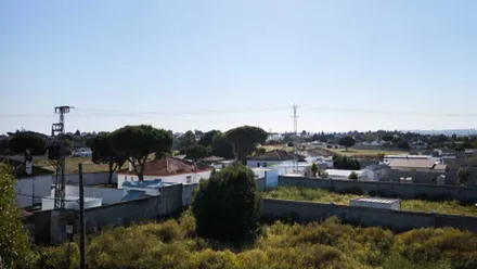 Casas en el entorno del diseminado de Chiclana Norte, destaca la vegetación y las construcciones bajo el cielo celeste.