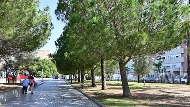 Zona de fresco, a la sombra, en un parque de Cádiz.