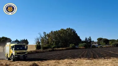Camión amarillo de bomberos en una zona de pasto con arboles al fondo y una construcción.