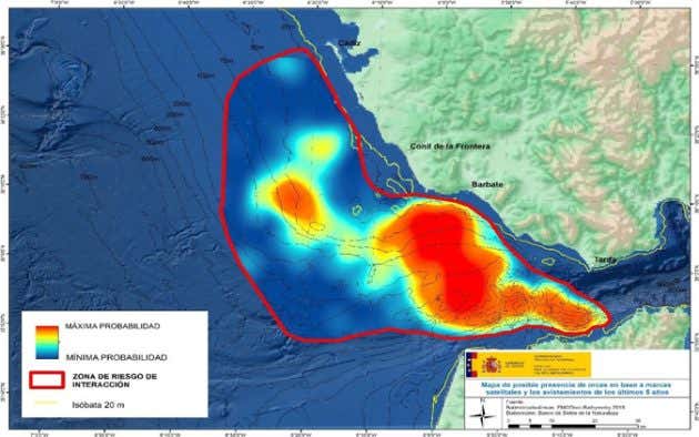 Mapa de probabilidad de colisionar con orcas en el Golfo de Cádiz