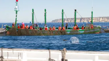 Pescadores a bordo de un barco en plena pesca del atún rojo, al fondo se ve la costa.