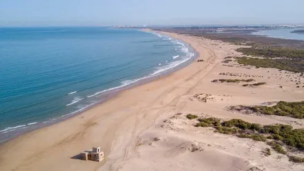 Lengua de arena de la playa de Camposoto con la vegetación a la derecha de la imagen.