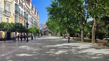 Un grupo de jóvenes camina por la Plaza de España de Cádiz mientras una mujer descansa en un banco