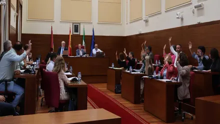 Salón de Plenos del Ayuntamiento de Chiclana, con los representantes municipales a derecha e izquierda.