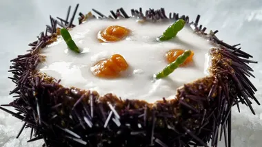 Plato con Erizo de Mar del Restaurante El Faro de Cádiz