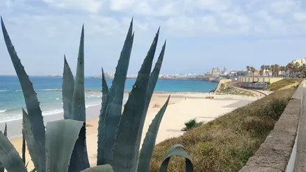 Las alertas amarillas por lluvia y tormenta llegan a la provincia de Cádiz