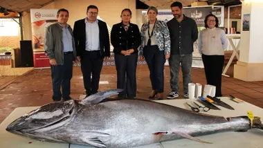 Miembros de la organización detrás de un gran ejemplar de atún rojo, está en el suelo.