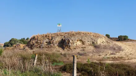 Asta Regia, la joya romana escondida bajo un trigal en Jerez de la Frontera