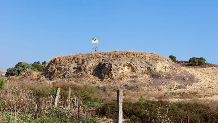 Asta Regia, la joya romana escondida bajo un trigal en Jerez de la Frontera