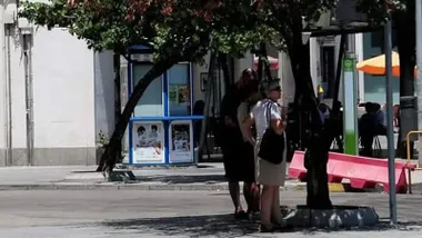 Dos personas buscan la sombra de un árbol sombra en Cádiz para protegerse del calor.