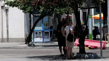 Dos personas buscan la sombra de un árbol sombra en Cádiz para protegerse del calor.