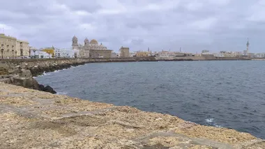 Campo del sur de Cádiz con la Catedral y el Pirulí y cielos grises
