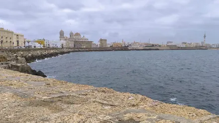 Campo del sur de Cádiz con la Catedral y el Pirulí y cielos grises