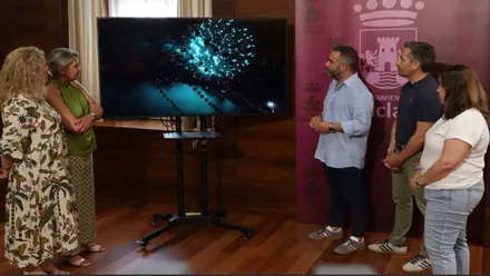 Delegado junto a caseteros y responsables de la Feria de Chiclana mirando una pantalla de televisión con fuegos artificiales.
