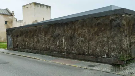 Jardín Vertical seco del Castillo de San Romualdo.