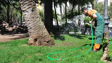 Un jardinero bebe de la manguera mientras regaba en un parque de Cádiz