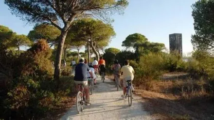 Grupo de ciclistas en el Parque de Los Toruños.
