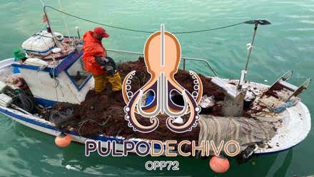 Lanzan una marca de pulpo con denominación de origen de Cádiz
