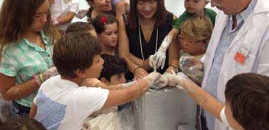 La ciencia de andar por casa