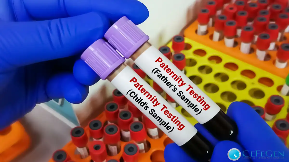 ¿Te enfrentas a un juicio de paternidad? Así te puede ayudar una prueba de ADN legal