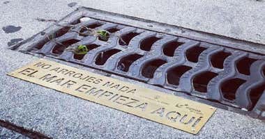 Placas con mensajes de concienciación junto a las alcantarillas de Cádiz