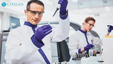 ¿Te enfrentas a un juicio de paternidad? Así te puede ayudar una prueba de ADN legal