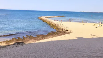 Algas en Santa María del Mar de Cádiz