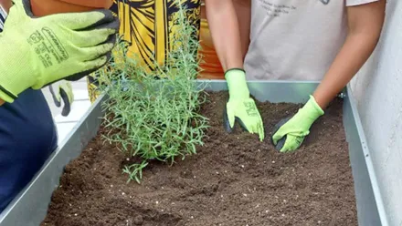 Personas con guantes de color verde plantando unas macetas.