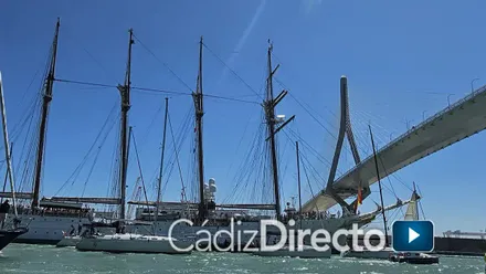 Así cruzó el Elcano bajo los dos puentes de la Bahía en su regreso a Cádiz