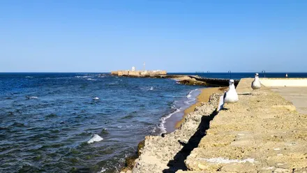 Imagen de varias gaviotas posadas en la barandilla de la Plaza Canal de Ponce, en Cádiz, con el mar ligeramente encrespado por el viento de Levante y el puente de San Sebastián al fondo.