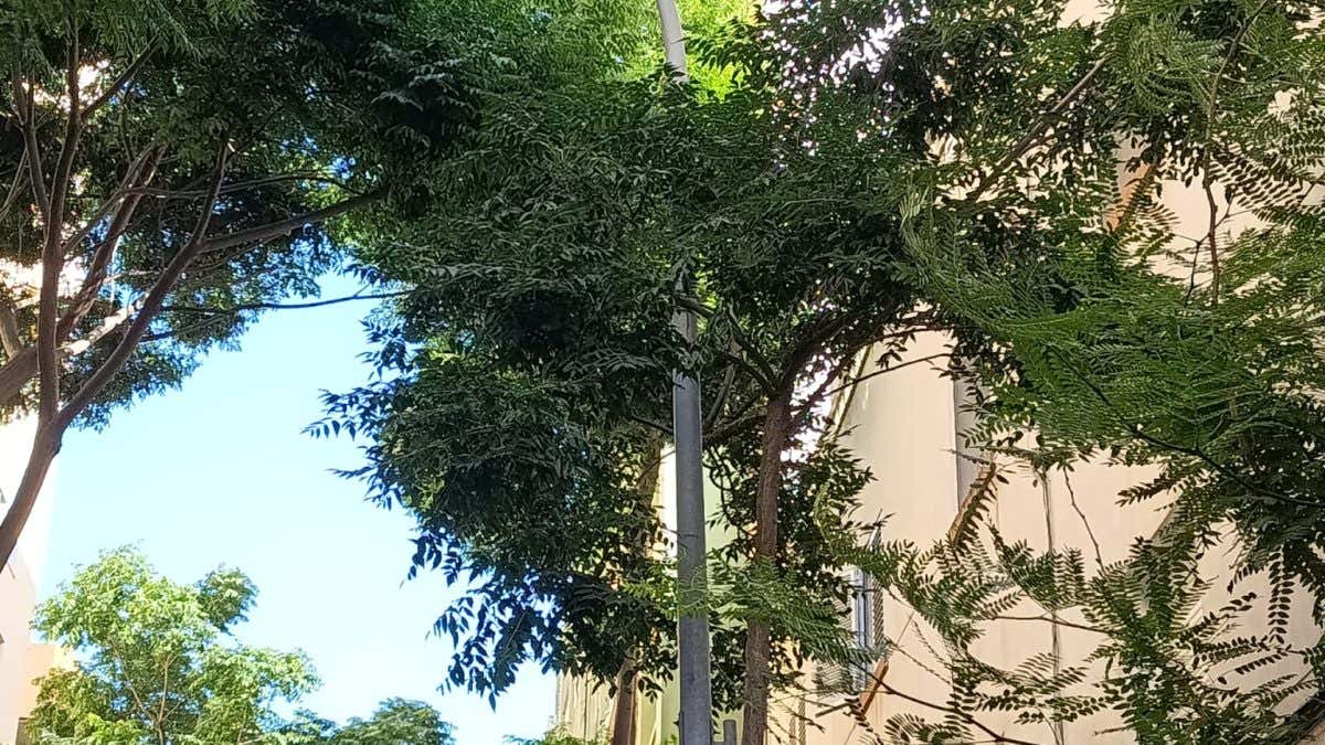 Vista desde la calle de la bandera franquista en el barrio de Bahía Blanca de Cádiz.
